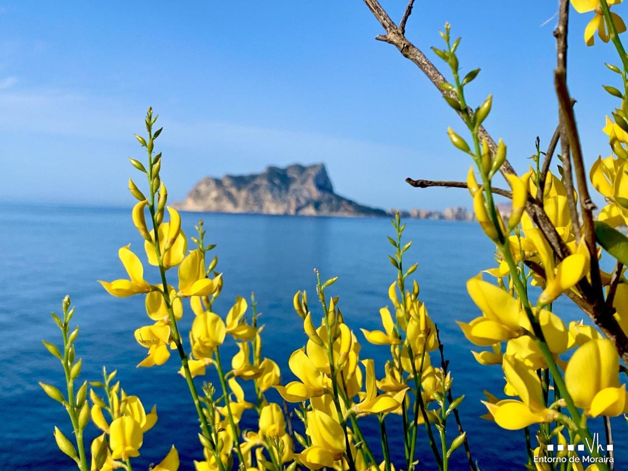 Vh Costablanca - Eva Villa Calpe Bagian luar foto
